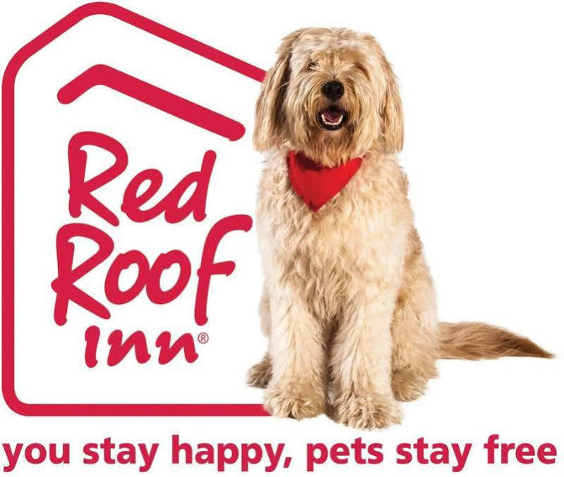 Red Roof Inn Акрън Екстериор снимка
